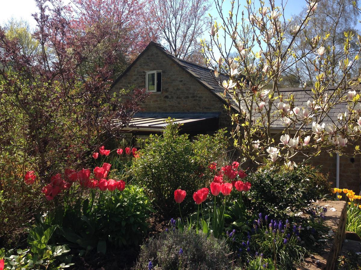 Bagnell Cottage Chiselborough Eksteriør bilde