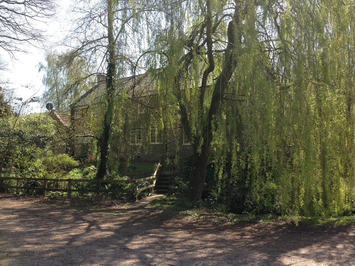 Bagnell Cottage Chiselborough Eksteriør bilde