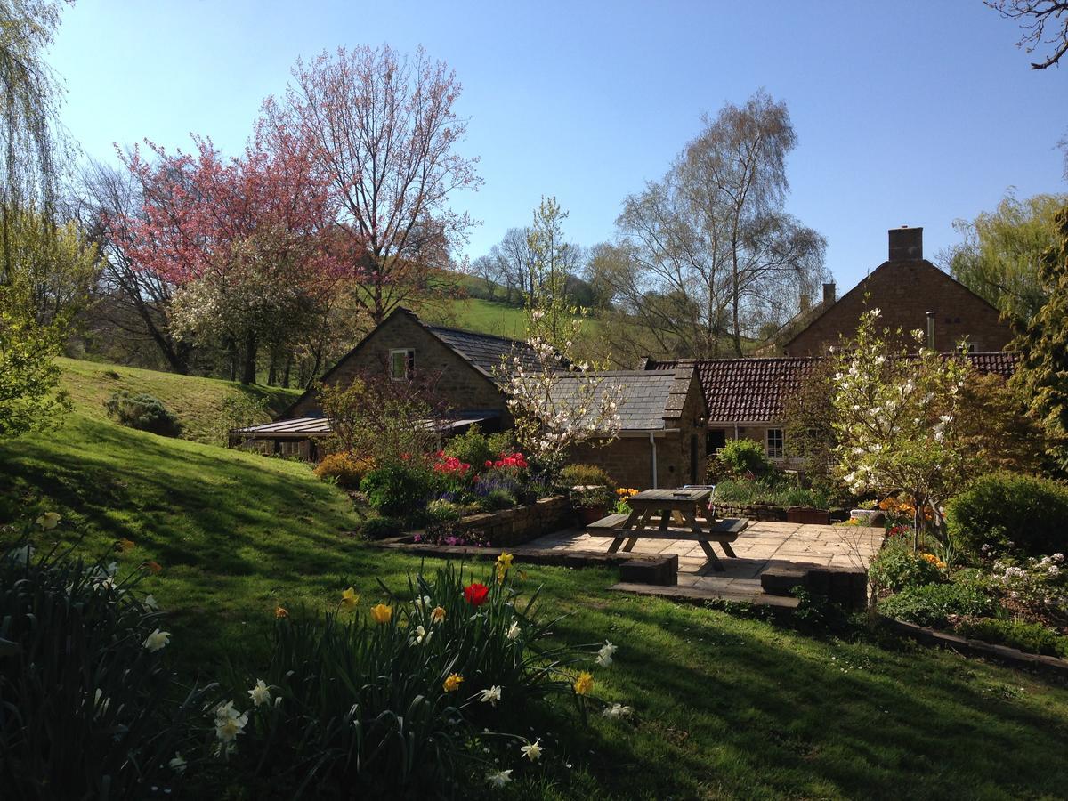 Bagnell Cottage Chiselborough Eksteriør bilde