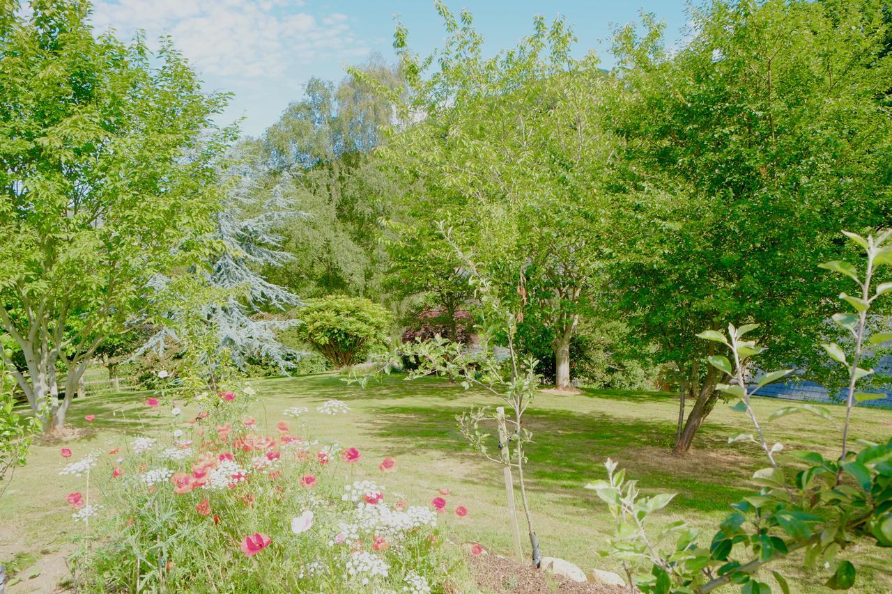 Bagnell Cottage Chiselborough Eksteriør bilde